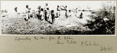 Bedouins separating corn, Beni Saleh, July 1917 by Capt. Arthur Rhodes